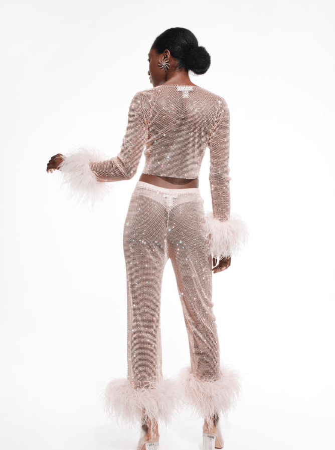 ALICIA RHINESTONE EMBELLISHED CROP TOP FEATHERS LONG SLEEVES - Blush Pink / Beige