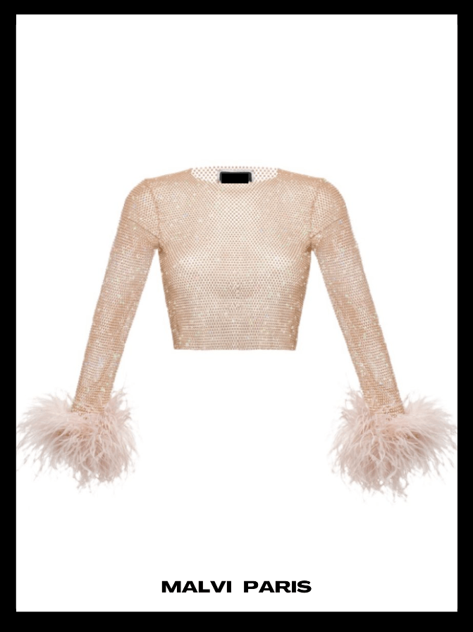 ALICIA RHINESTONE EMBELLISHED CROP TOP FEATHERS LONG SLEEVES - Blush Pink / Beige