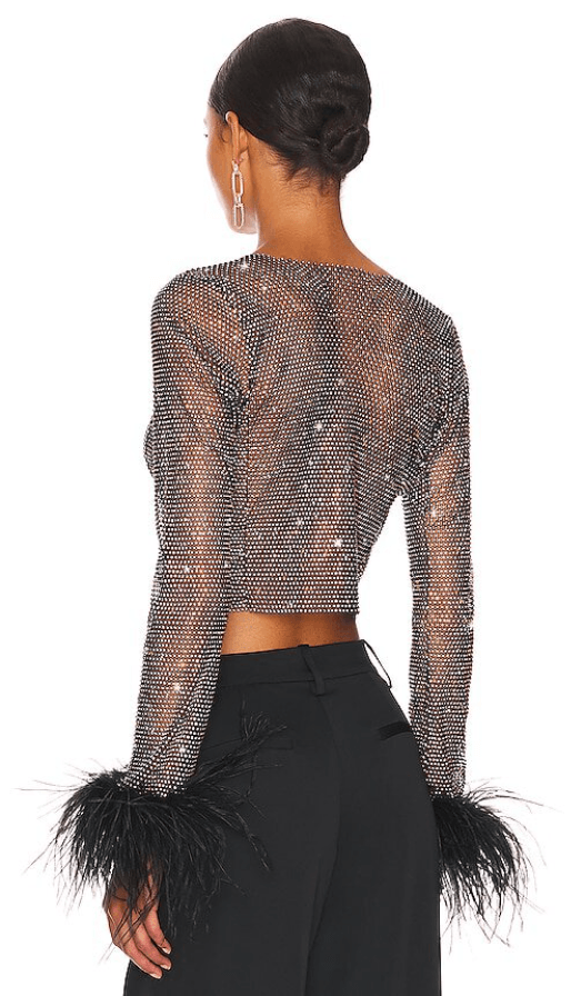 ALICIA RHINESTONE EMBELLISHED CROP TOP FEATHERS LONG SLEEVES - Jet Black