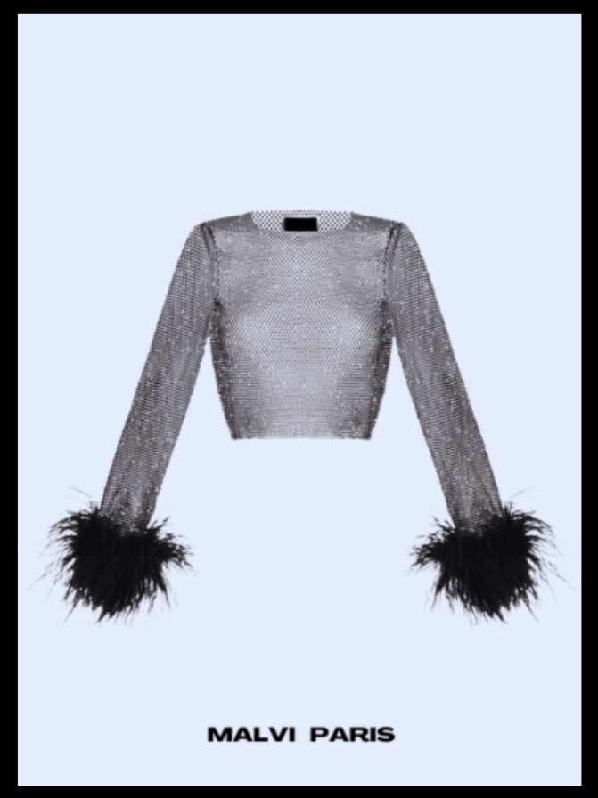 ALICIA RHINESTONE EMBELLISHED CROP TOP FEATHERS LONG SLEEVES - Jet Black