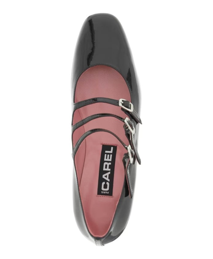 CAREL PUMPS